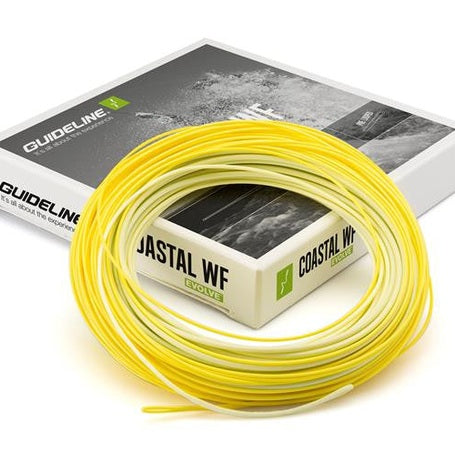 COASTAL EVOLVE FAST INT