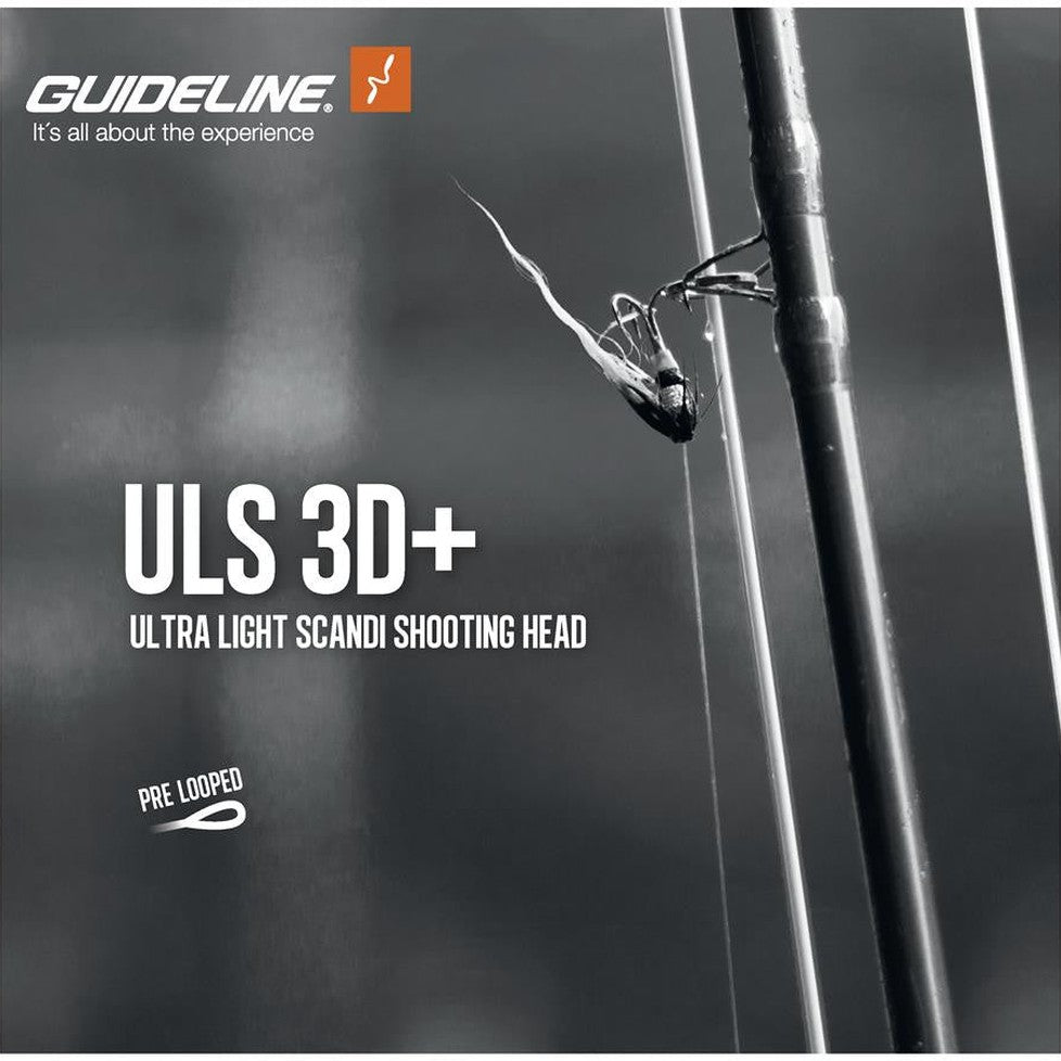 Guideline ULS 3D+