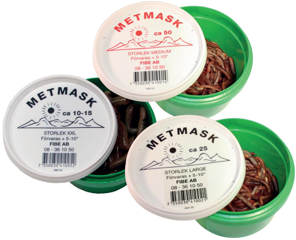 Mark XXL Duggmark - Canadian Nightcrawler