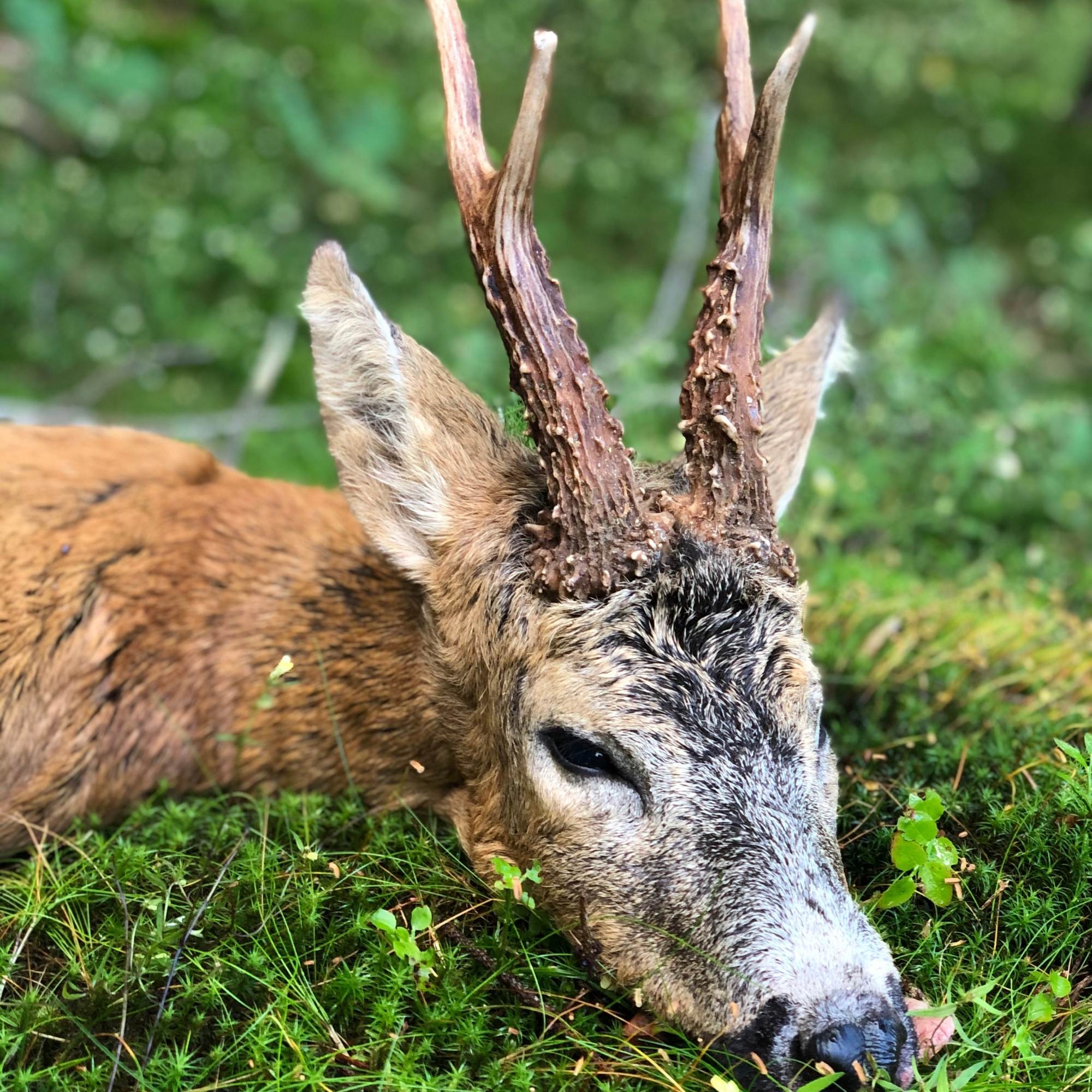 Jegerprøvekurs - April