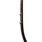 Rogis Agnkroker m/Baitholder