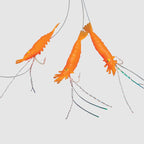 Søvik Makrellhekle 013  2 0,60 mm