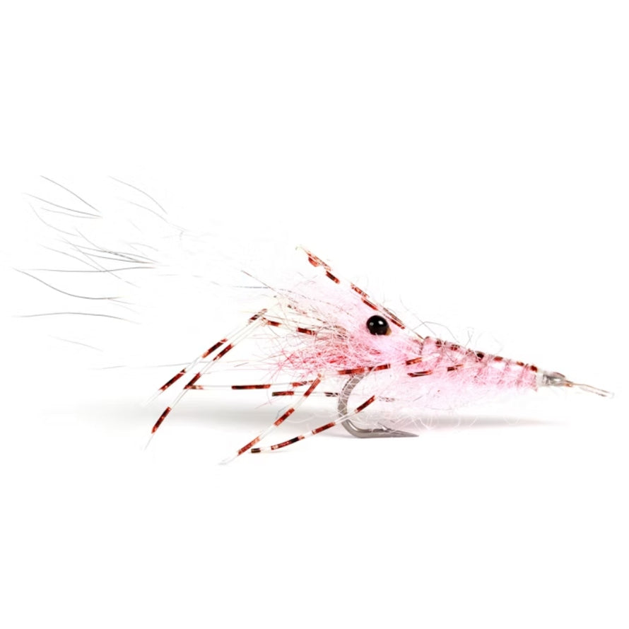 Leoshrimp Pink
