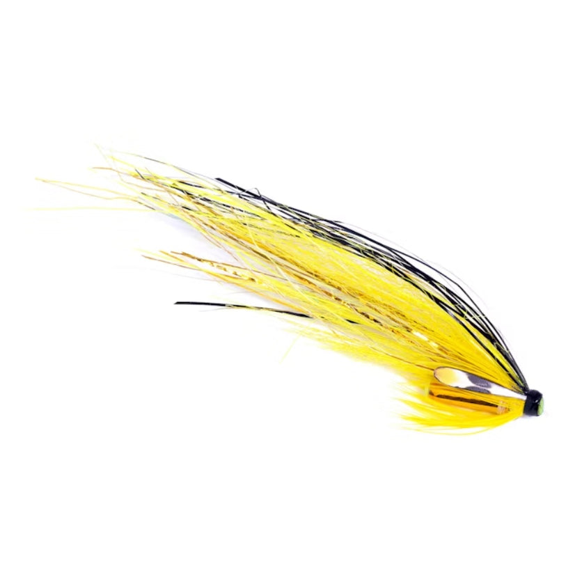 SGs Black & Yellow Flashwing