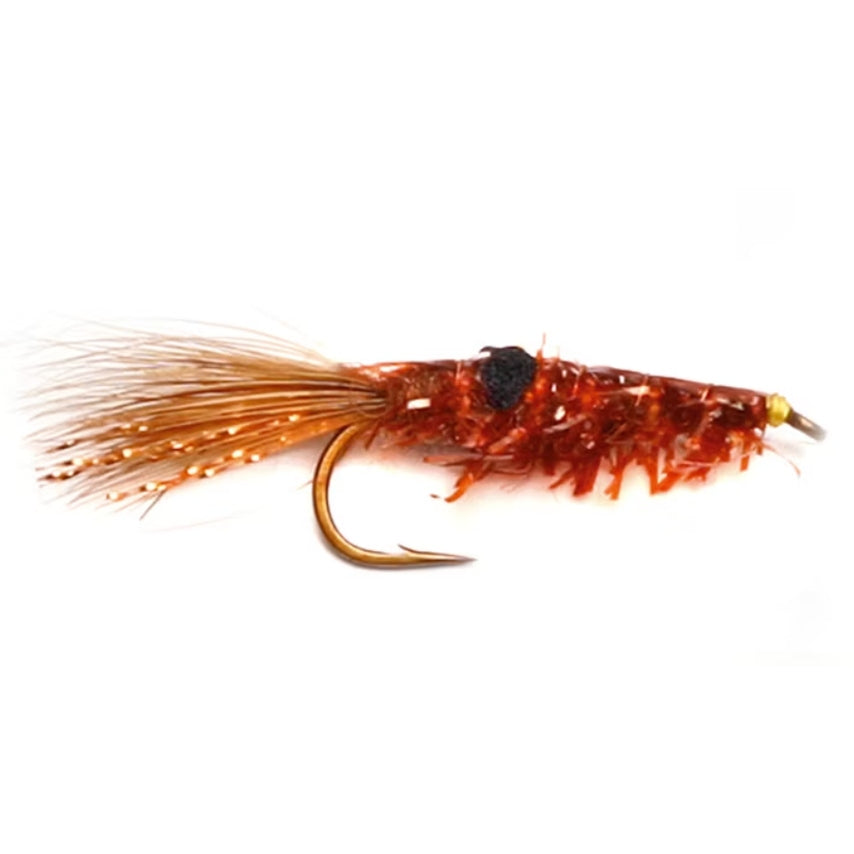Copper Shrimp