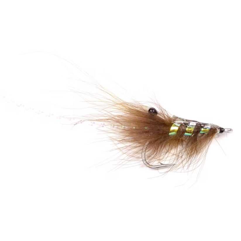 Runars CDC Reke - Olive Str. 6