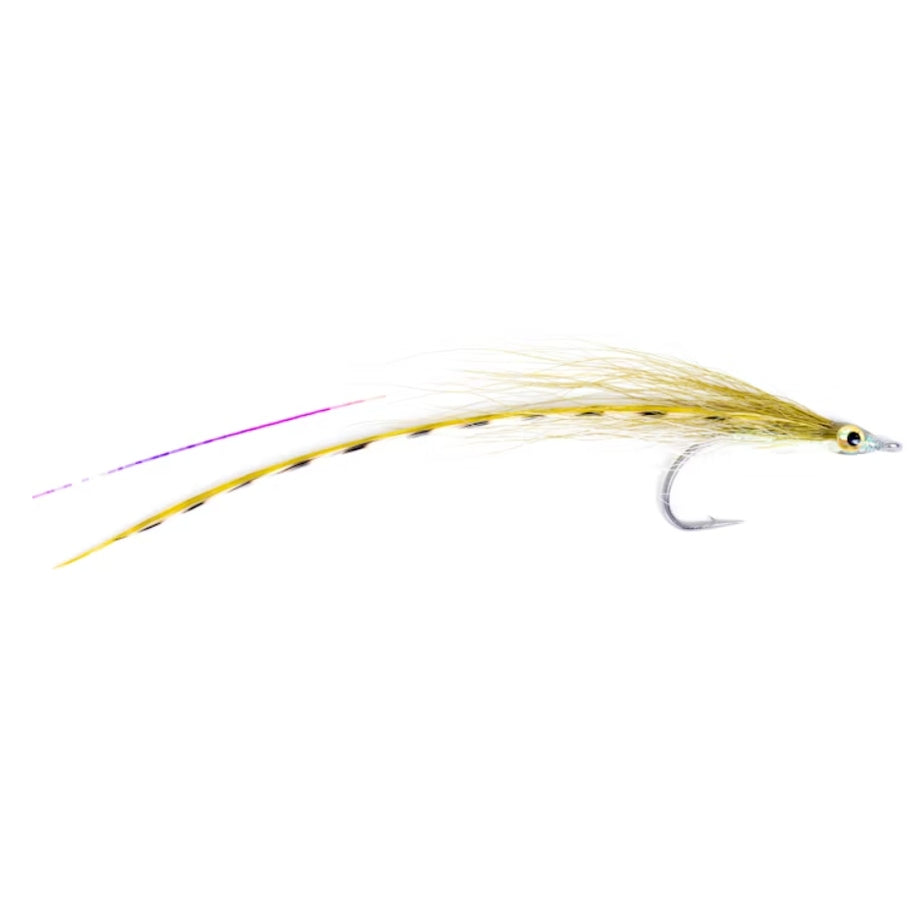 Flatwing #4