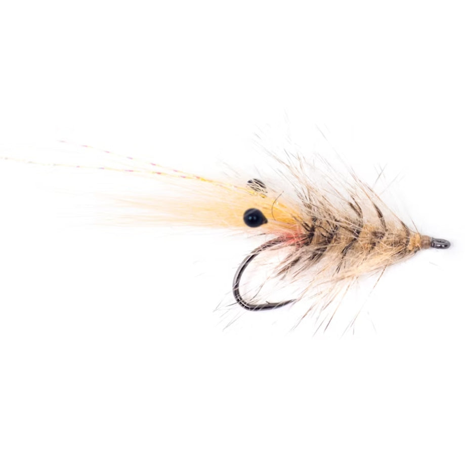 Hackle Shrimp 6