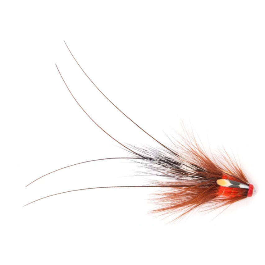 Pot Belly Pig - Fl. Fire Red