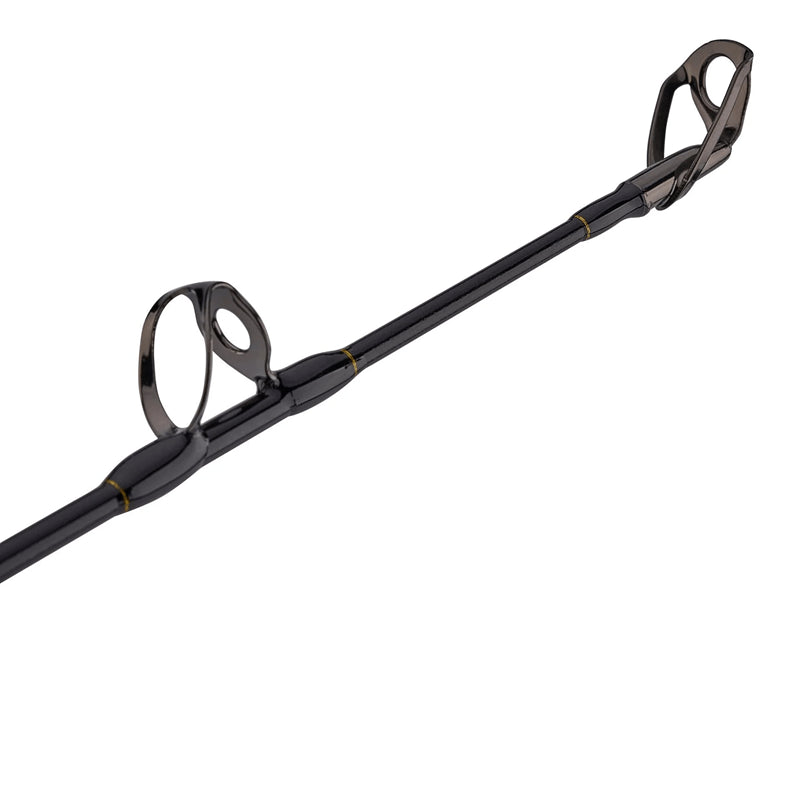 Squall Boat Lever Drag 30-50lb Combo