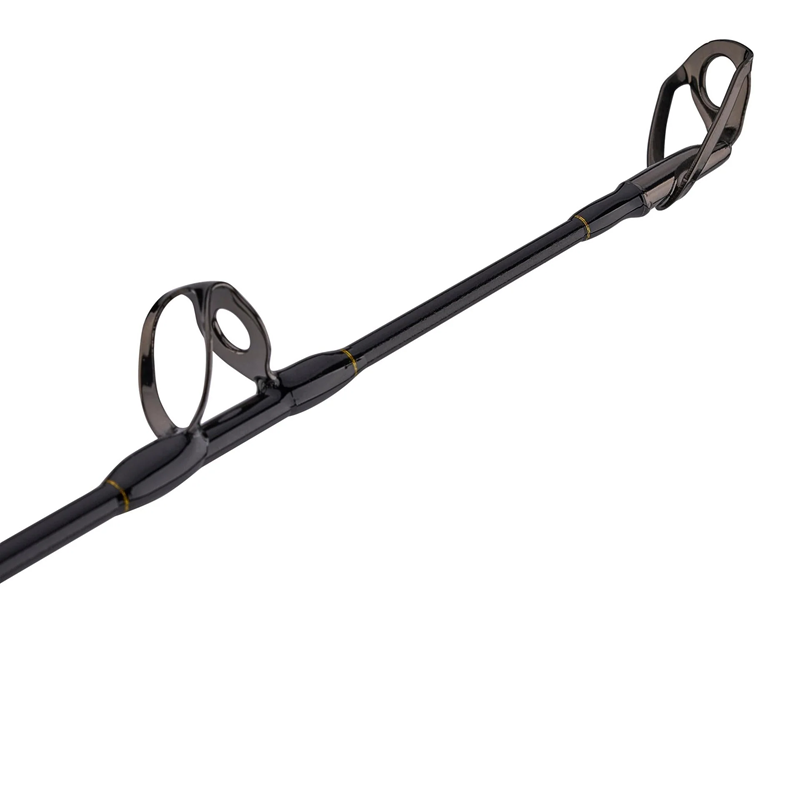 Squall Boat Lever Drag 20-30lb Combo