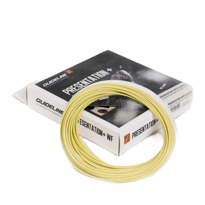 Guideline Presentation+