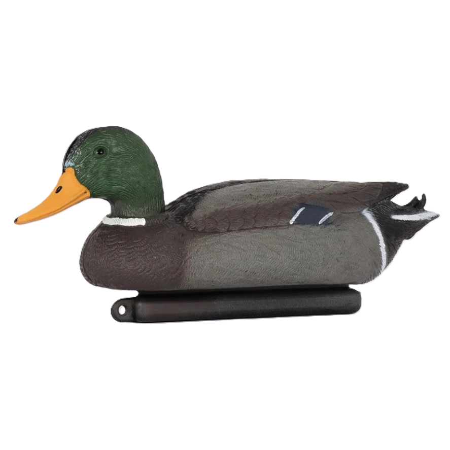 Alces Lokkefugl Stokkand - Hann