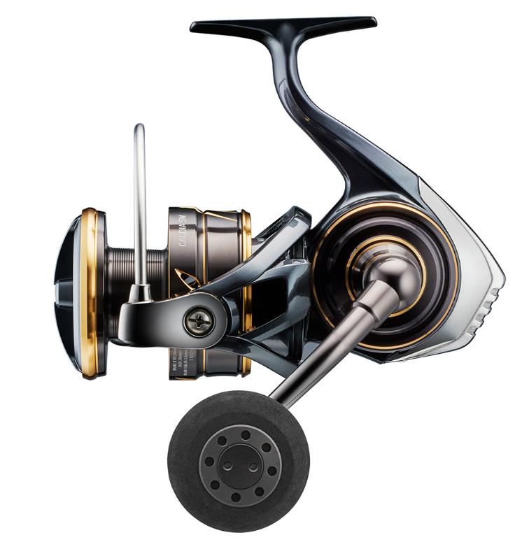 Daiwa Caldia SW