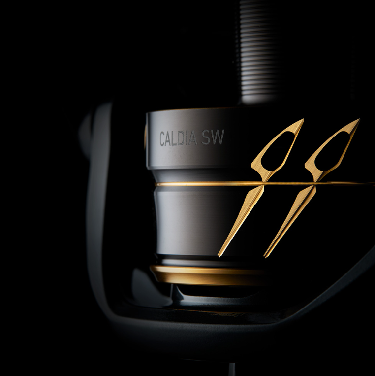 Daiwa Caldia SW