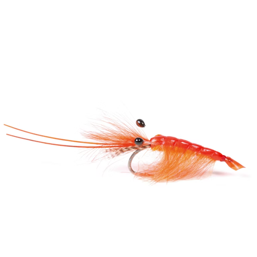 Orange CDC Shrimp #6
