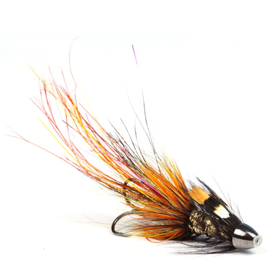 Pot Belly Pig - Willie Gunn Gold