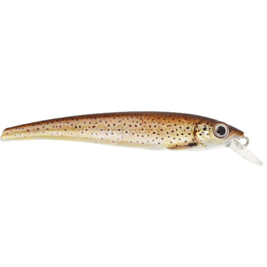 Prey Target Seatrout